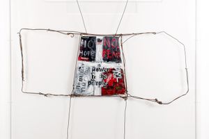 Fiona Hall