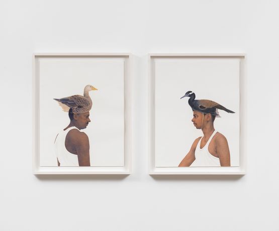 Untitled The Bird Hunter Series VIII by Ali Kazim contemporary artwork Works on Paper