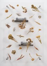 Late Classical XVII by Anicka Yi contemporary artwork sculpture