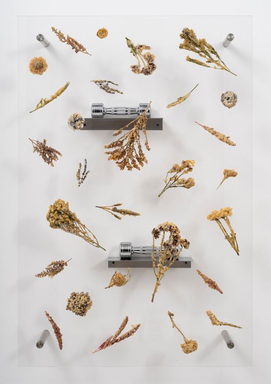 Late Classical XVII by Anicka Yi contemporary artwork Sculpture