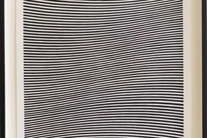 Bridget Riley