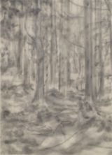 Forest 201902 by Naofumi Maruyama contemporary artwork painting