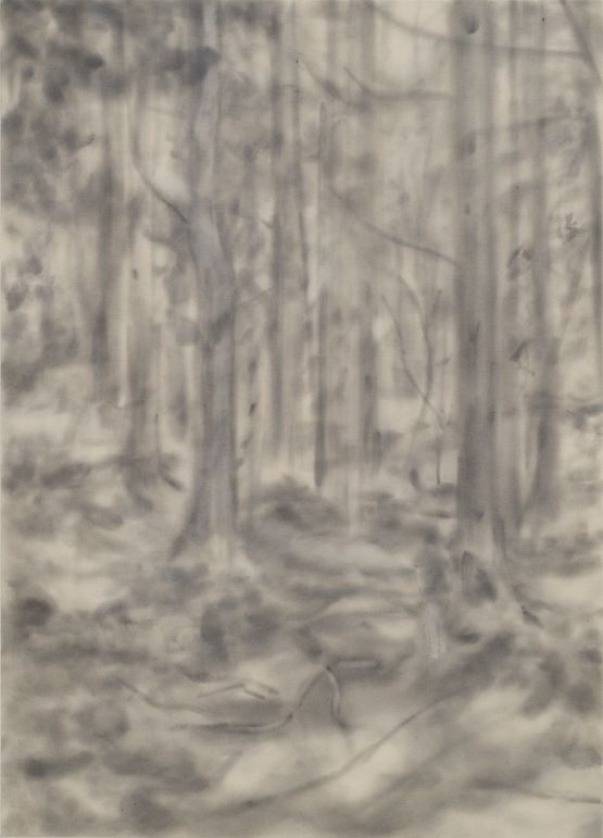 Forest 201902 by Naofumi Maruyama contemporary artwork Painting