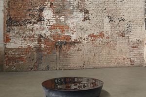 Roni Horn