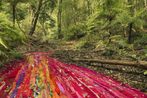 Rosemary Laing contemporary artist