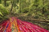 Drapery and wattle by Rosemary Laing contemporary artwork photography print