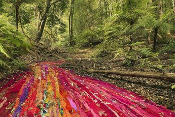 Rosemary Laing contemporary artist