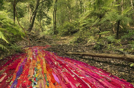 Drapery and wattle by Rosemary Laing contemporary artwork Photography