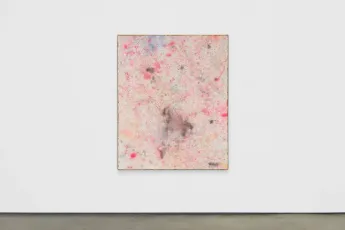 Contemporary art exhibition Rebecca Morris Rebecca Morris 20012022 at Museum of Contemporary Art Chicago United States
