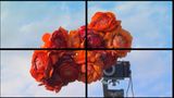 Jason by Diana Thater contemporary artwork installation