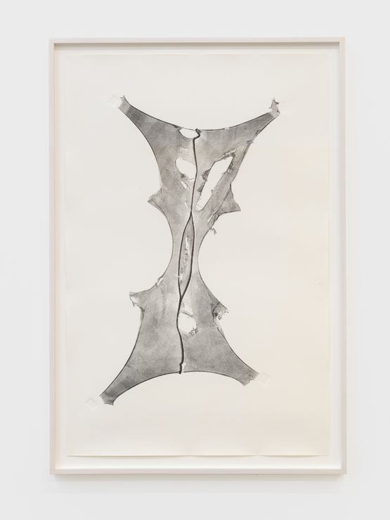 Expanded V by Julia Phillips contemporary artwork Works on Paper