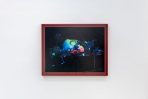 Fiona Pardington