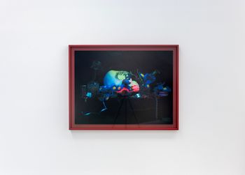 Still life with Iris Skull and Magnolia by Fiona Pardington contemporary artwork photography