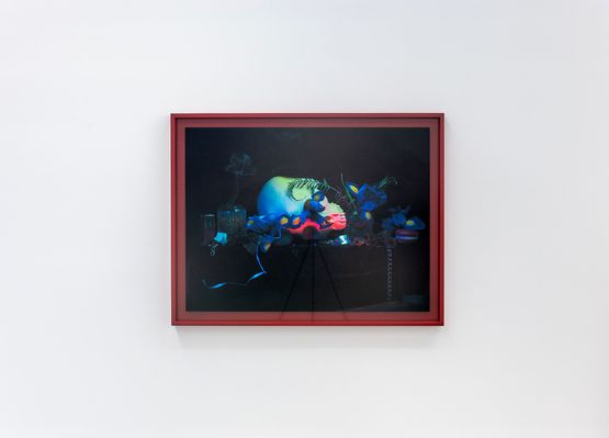 Still life with Iris Skull and Magnolia by Fiona Pardington contemporary artwork Photography
