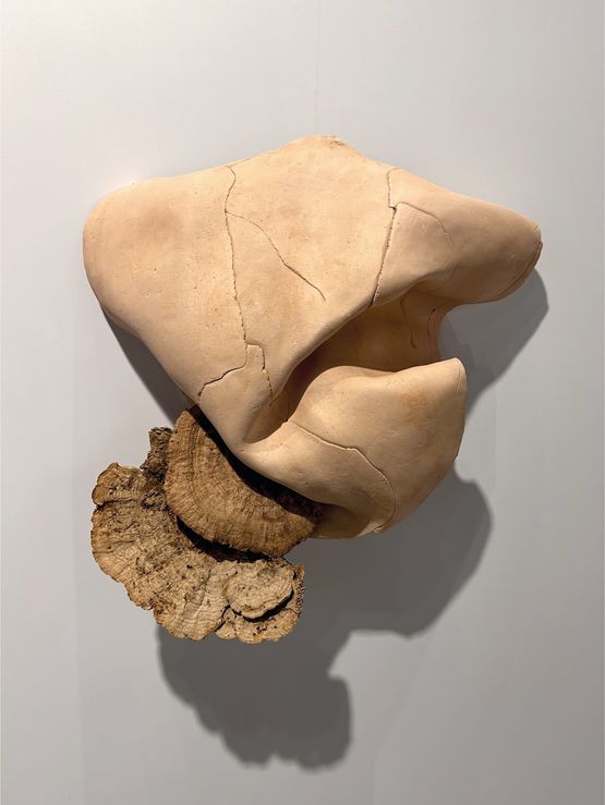 Studies for potential metamorphoses XLII by Yasam Sasmazer contemporary artwork Sculpture