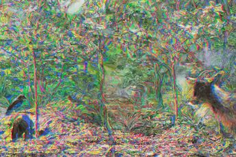 Soo Jung Choi contemporary artist