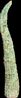 Curl Tusk by Fay Ming contemporary artwork Sculpture