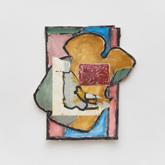 Estomago de Boi by Adriano Costa contemporary artwork Mixed Media