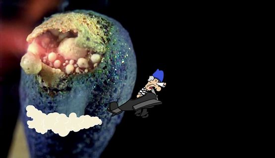 Tripasso in Wackyland by TV Moore contemporary artwork Moving Image