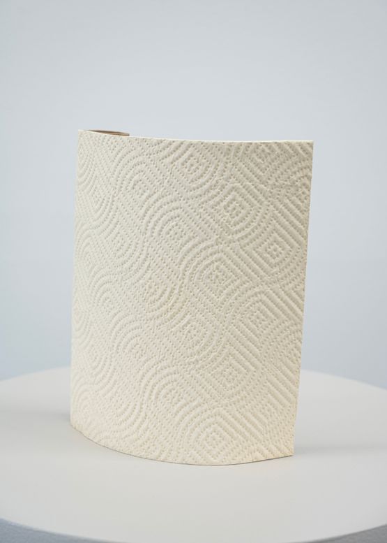 Paper Towel Vase by Ry Rocklen contemporary artwork Sculpture