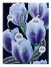 Pulse by Mevlana Lipp contemporary artwork Painting