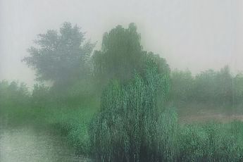 Kibong Rhee contemporary artist