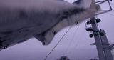 Ocean Reveries by Cole Sternberg contemporary artwork photography moving image