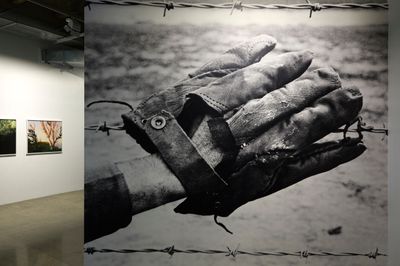 Walters Prize Announces 2021 Finalist Exhibition