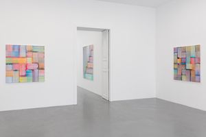 Bernard Frize