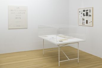 Contemporary art exhibition Michael Oppitz on Marcel Broodthaers at Galerie Buchholz New York United States
