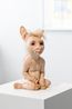 The Pacifist by Patricia Piccinini contemporary artwork Sculpture