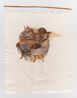 from the series chao de molho e imbigos by Josi contemporary artwork Drawing