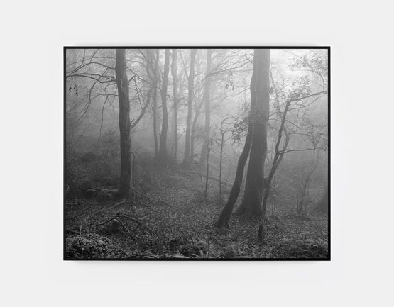Unknown by Willie Doherty contemporary artwork Print