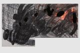 to find the hidden self 3 by Kaveri Raina contemporary artwork works on paper