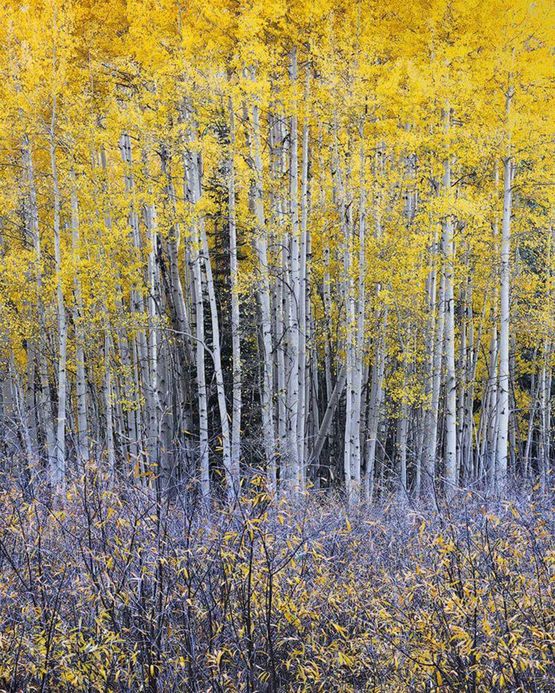 Wheres Waldo by Stephen King contemporary artwork Photography