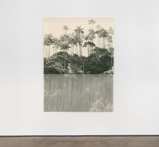 ZUE II BOSQUE by Ana Gonzalez contemporary artwork Print