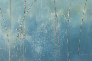 Contemporary art exhibition Nicolas Party Toile daraignee at Xavier Hufkens St-Georges Belgium