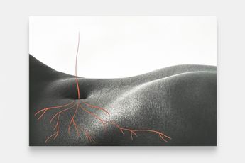 Binta Diaw contemporary artist