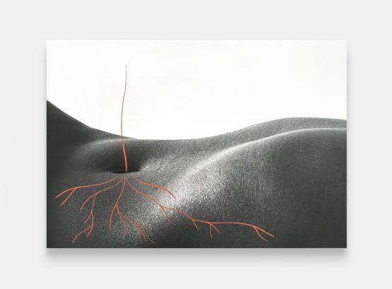 Paysage Corporel XVIII by Binta Diaw contemporary artwork Print