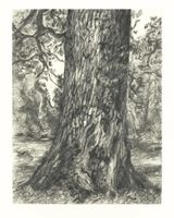 After Constables Elm by Lucian Freud contemporary artwork print