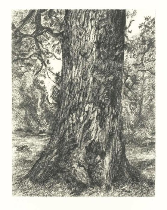 After Constables Elm by Lucian Freud contemporary artwork Print