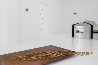 Alice Wang contemporary artist