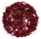 burnt blood by Kirtika Kain contemporary artwork mixed media