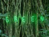 If We Delete Green If We Start Caring About Plants by Ma Haijiao contemporary artwork moving image sculpture
