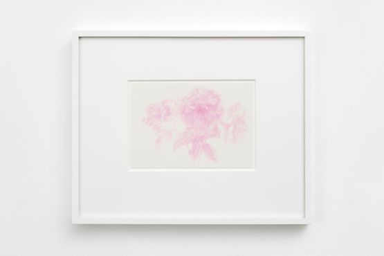Roses by Don Brown contemporary artwork Painting