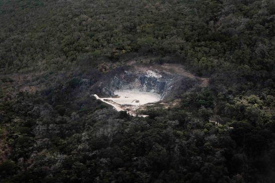 13.S398.2839 from the series Christmas Island Naturally by Robert Zhao Renhui contemporary artwork Photography