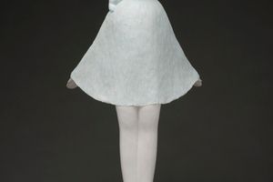 Li Wei  Liu Zhiyin