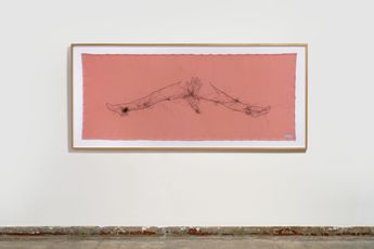 Abigail Lane contemporary artist