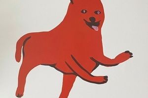 David Shrigley
