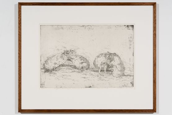 Lustful Bettongs Returning to Watikinpirri - Newhaven II by John Wolseley contemporary artwork Print